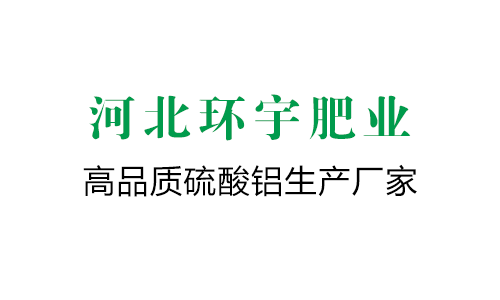 怀孕初期症状探秘：探索孕期的开